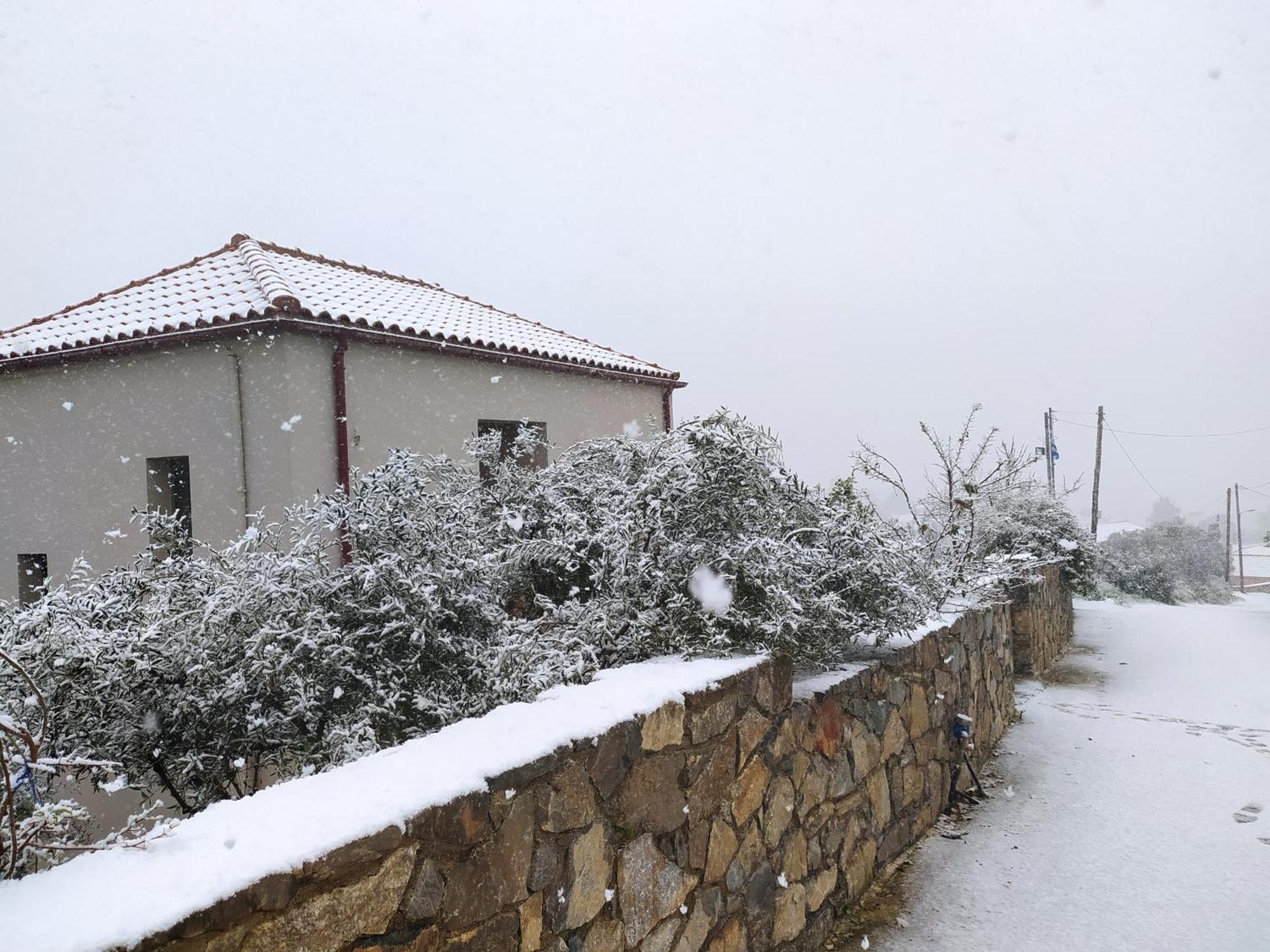 "Villa Kastania" Melidoni, Chania, Crete 외부 사진